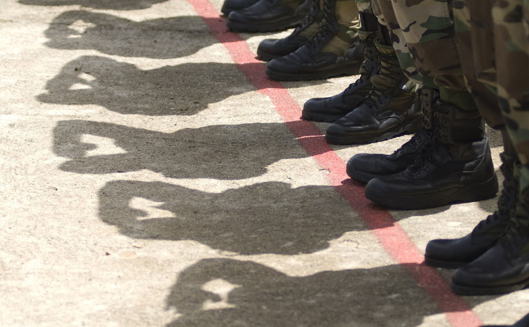 flags, public sector