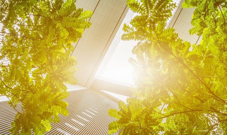 Microsoft Project implementation success