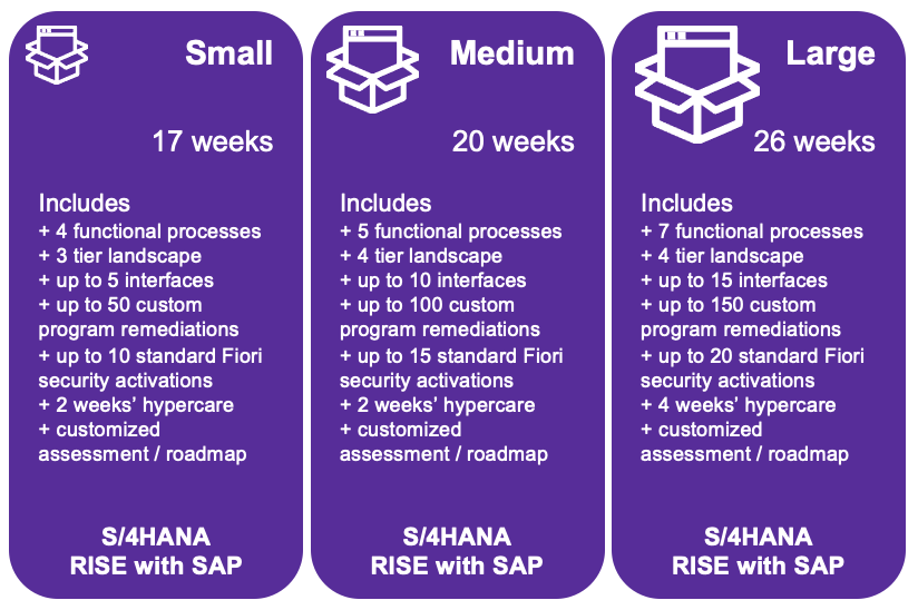 dxc-au-sap-erp-graphic