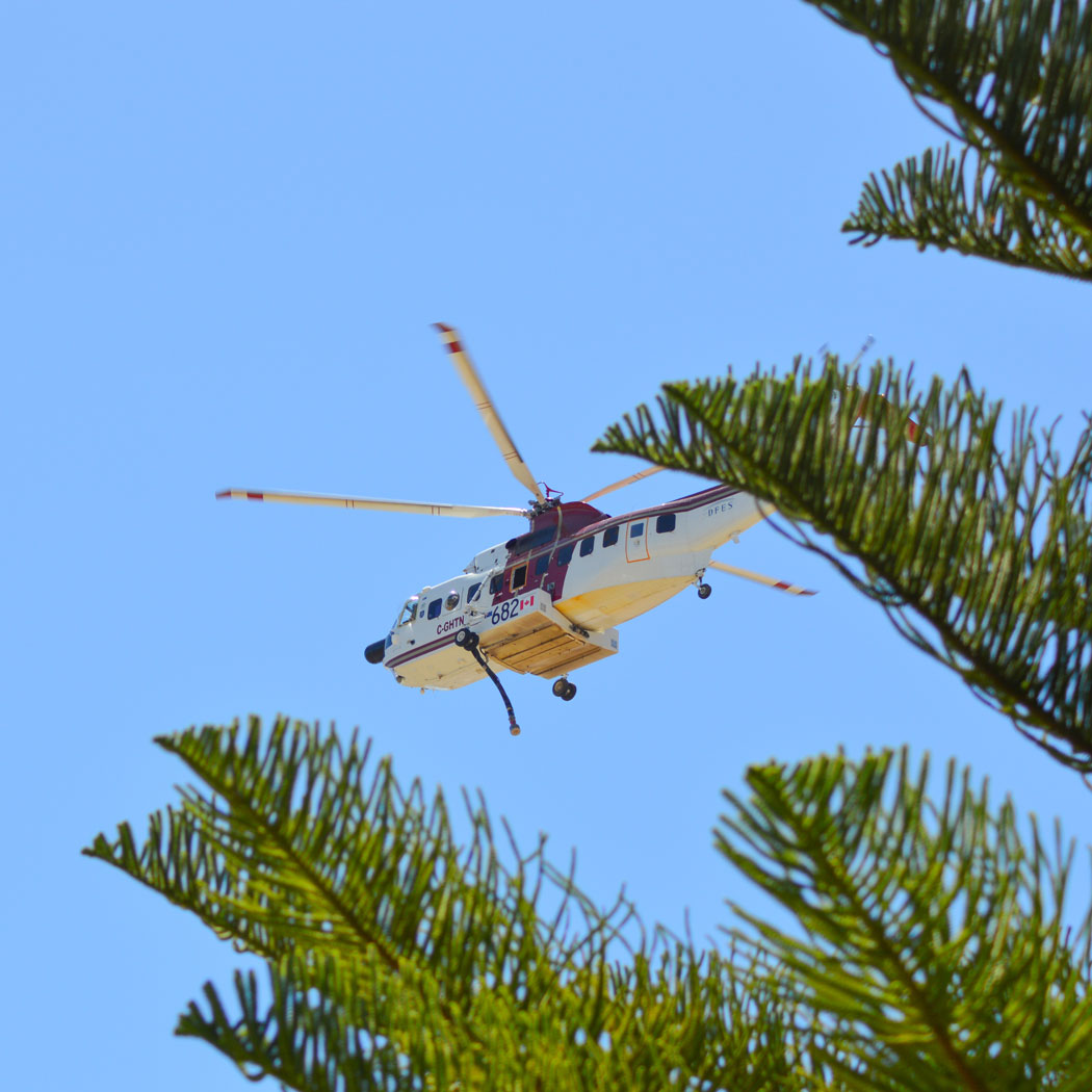 Ambulance & Patient Transport