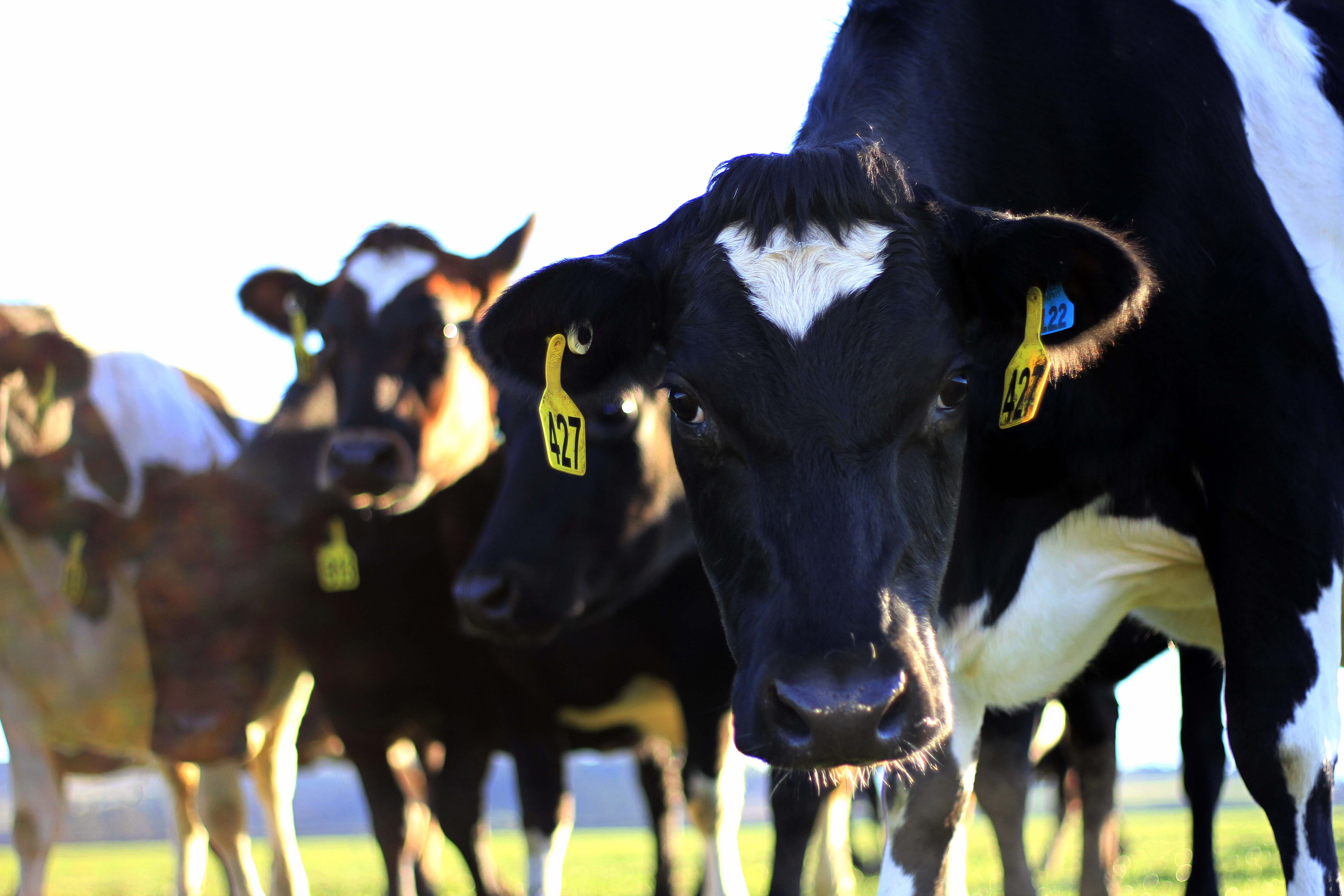 FarmRight customer story