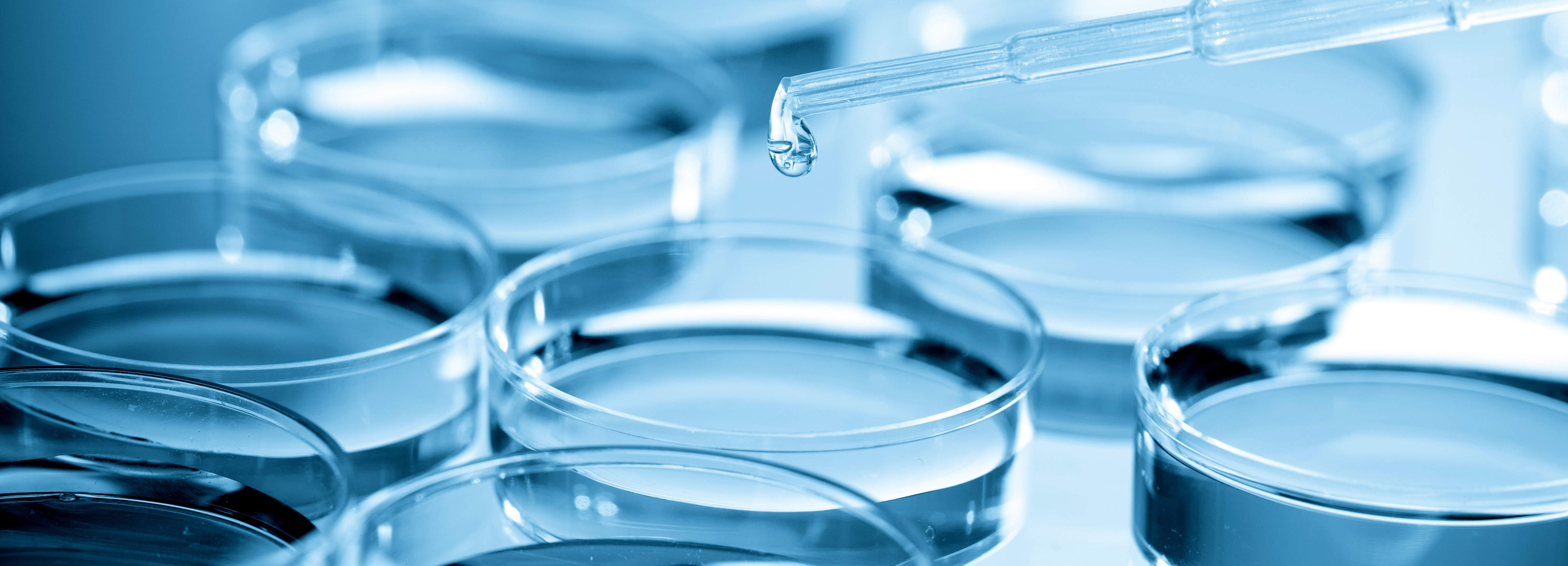 Croda applies intelligent automation to upgrade SAP in the cloud | DXC Technology Customer Story