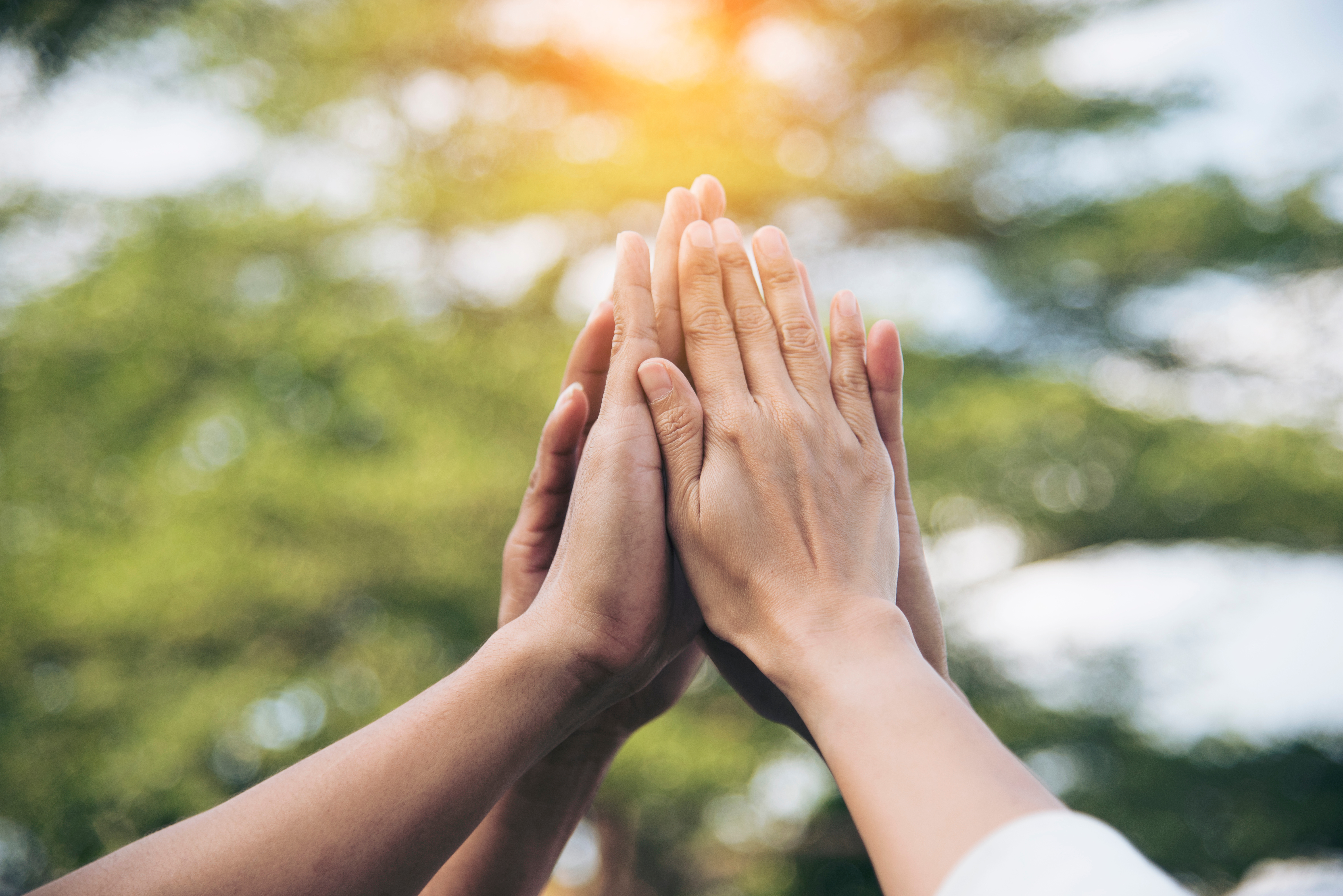 team high five in green environment | DXC Technology
