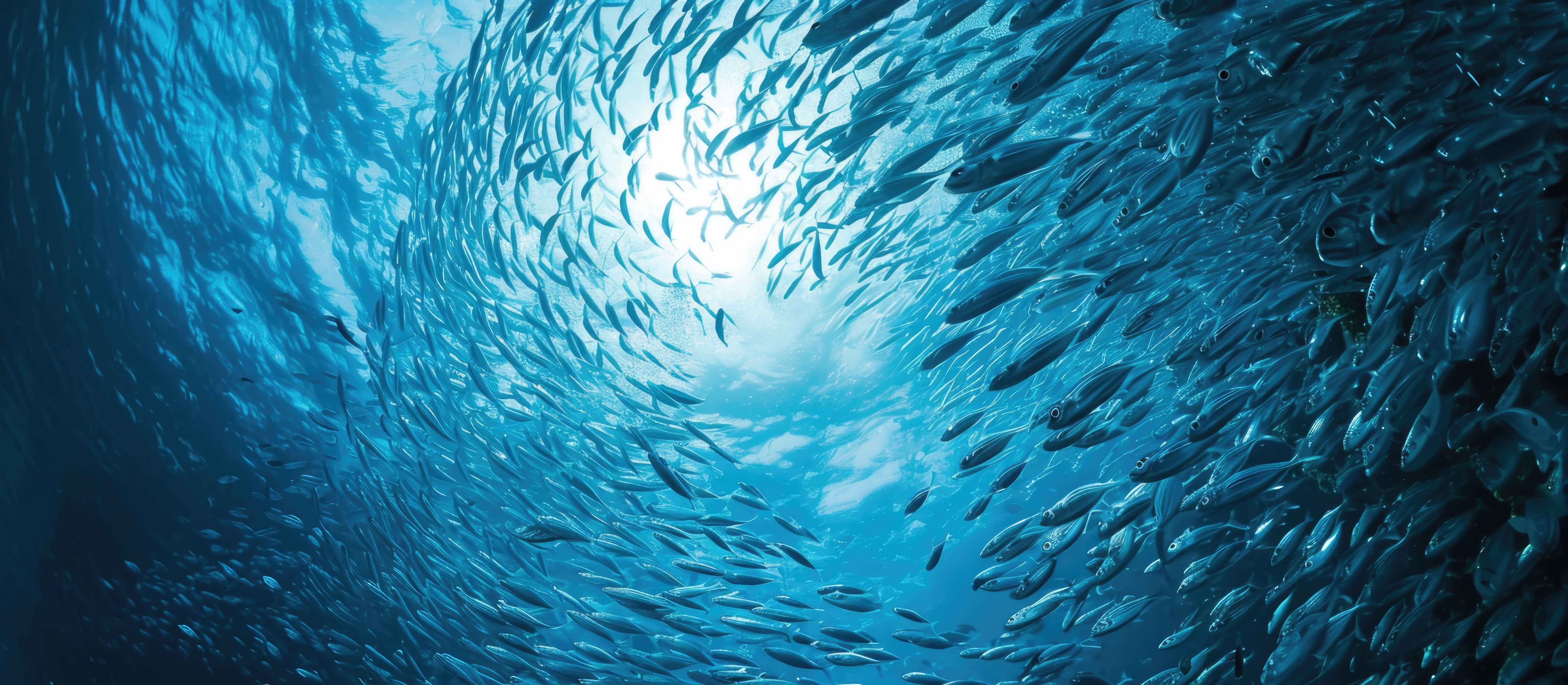 Swirling school of silver fish in blue ocean; Unlock the power of one partner and one contract to manage SAP and Microsoft  | DXC Technology