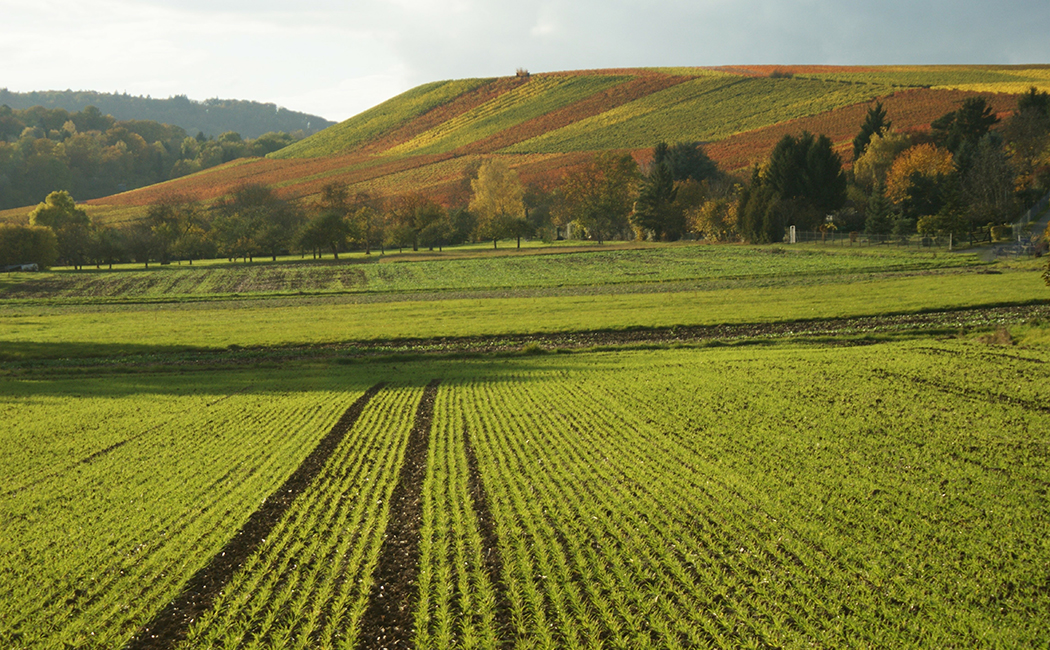 Syngenta Video | DXC Technology Customer Story