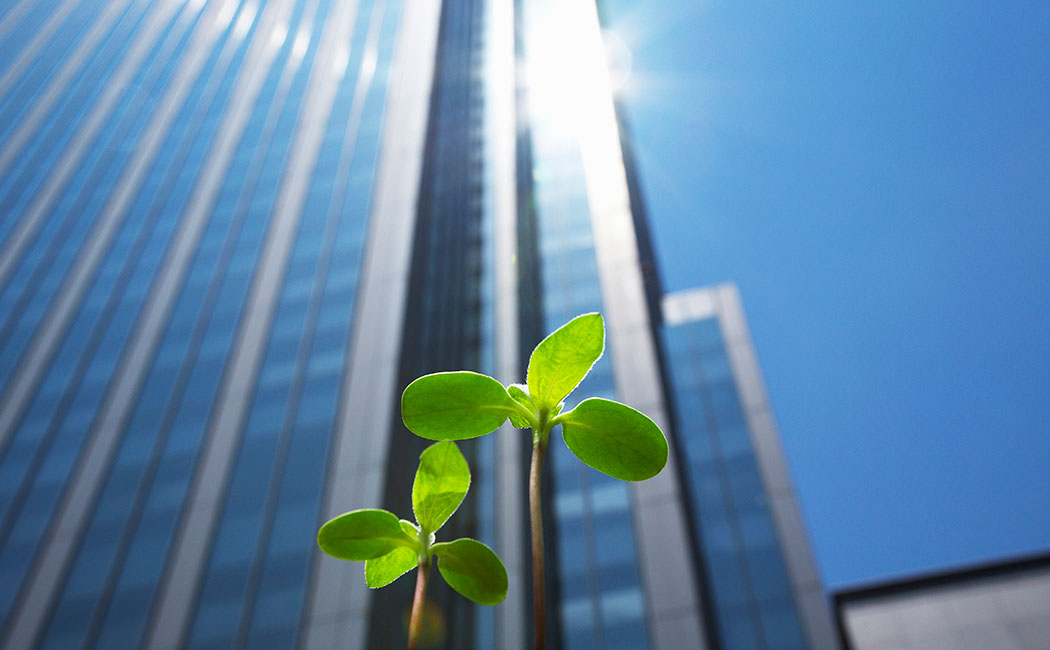 Modernise your business with Microsoft Dynamics 365